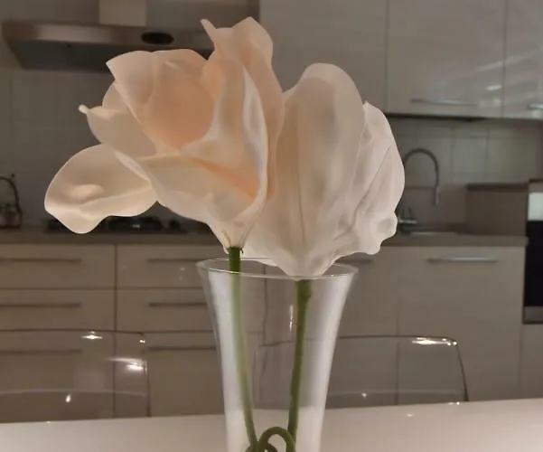 Casa Annadelia Apartment *